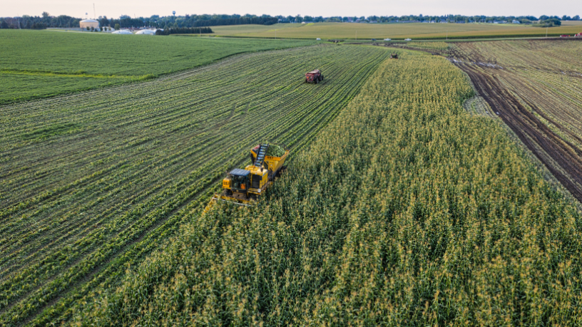 Entenda com João Eustáquio De Almeida Junior como a sustentabilidade no agronegócio deixa de ser tendência e passa a gerar valor e competitividade.