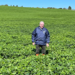 Aldo Vendramin aponta oportunidades do agronegócio e ESG para produtores e empresas.