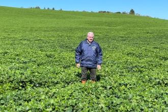 Aldo Vendramin aponta oportunidades do agronegócio e ESG para produtores e empresas.