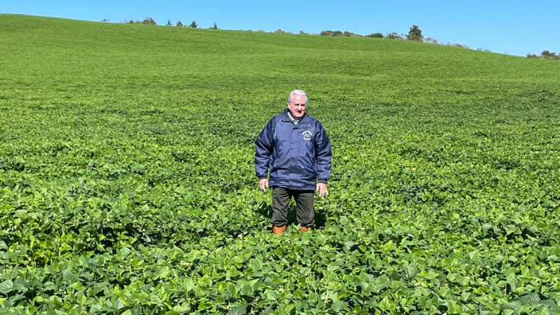Aldo Vendramin aponta oportunidades do agronegócio e ESG para produtores e empresas.