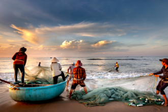 Tecnologia e gadgets para pescadores estão transformando a forma de pescar com mais precisão, observa Joel Alves.